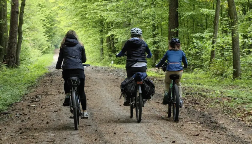 Trzy osoby jadą rowerami po leśnej ścieżce. Mimo pięknej pogody, widać znak zakaz jazdy rowerem.