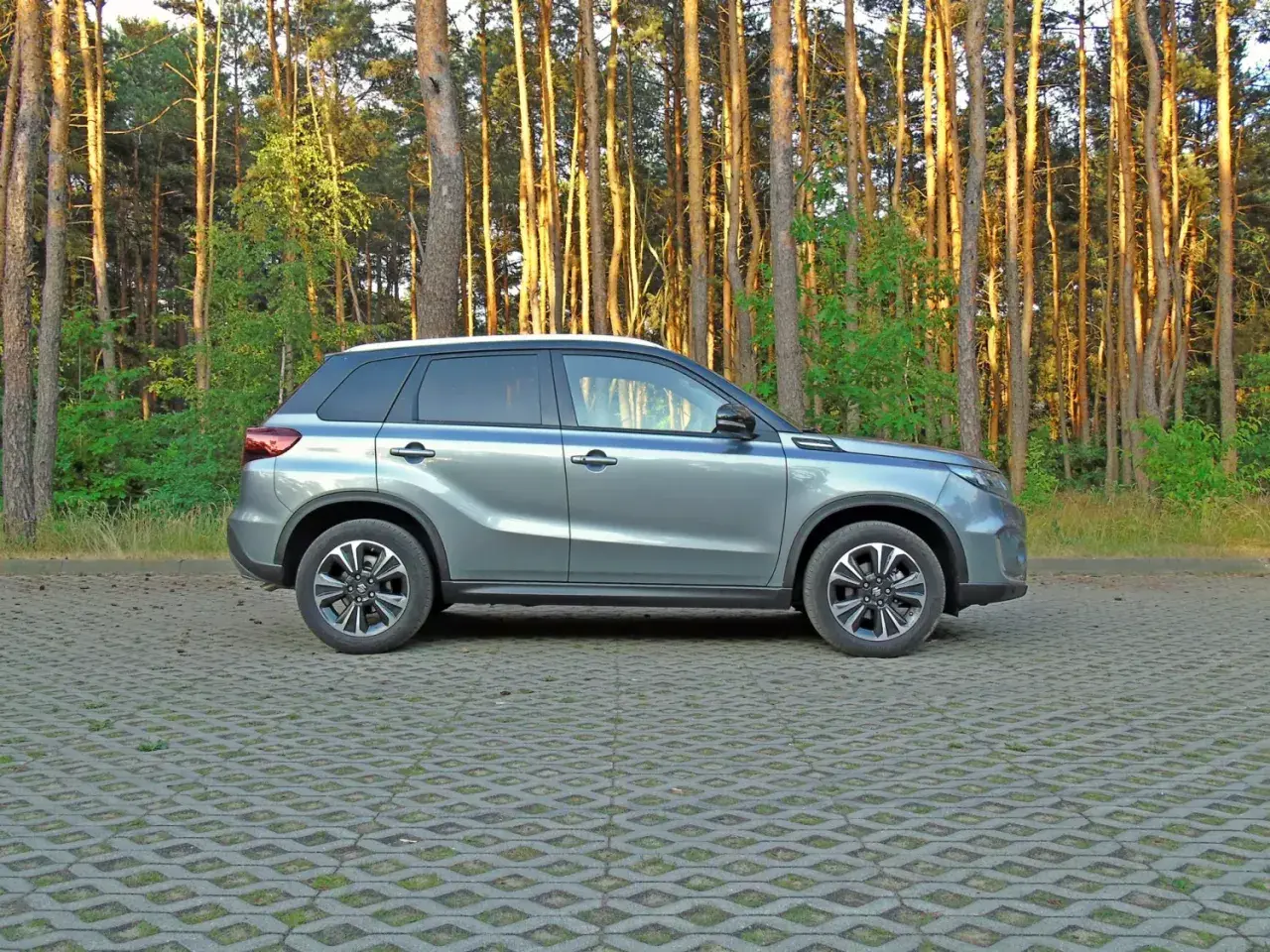 Nowy Suzuki Vitara 2025 w szarym kolorze, zaparkowany na tle sosnowego lasu.